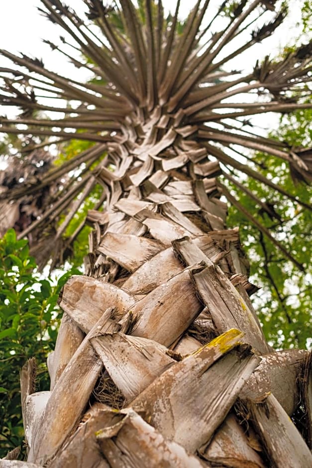 BWHALE guest house B&B