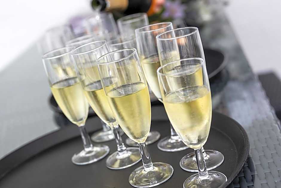 Dolphin Hotel Herning