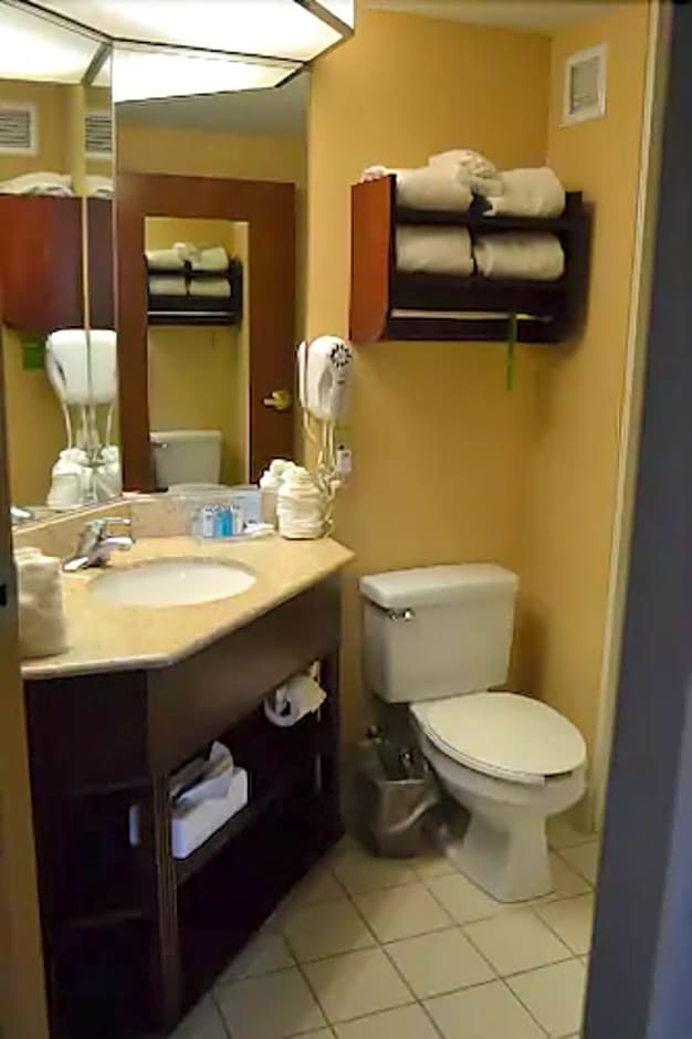 Hampton Inn Manheim