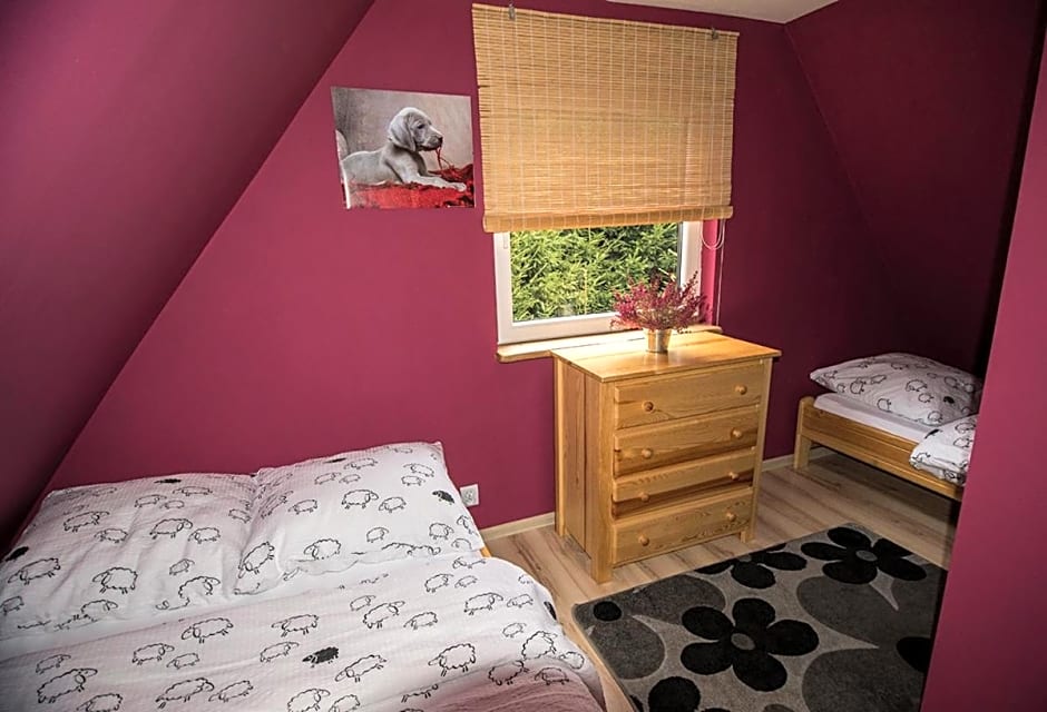 Domki nad rozlewiskiem