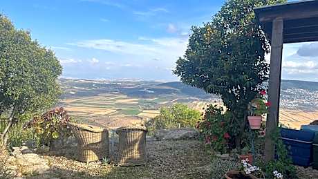Ananda