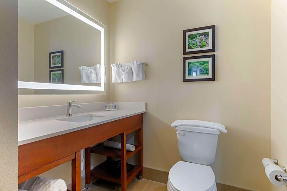 Comfort Suites West Monroe near Ike Hamilton Expo Center