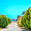 Bendis Beach