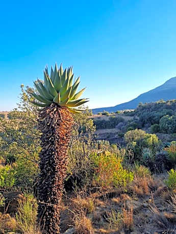 Saffier river cottage Farmstay