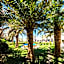Angela Beach Hotel & Apts
