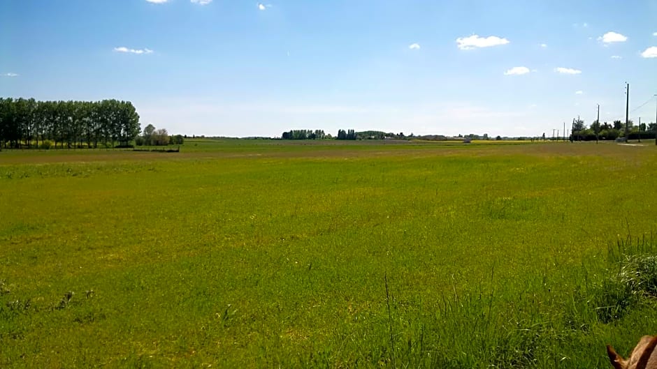 Gîte et chambres d'hôtes Le Chêne Billault