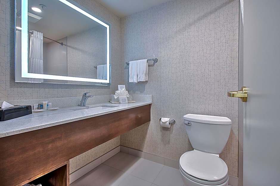 Comfort Inn And Suites South