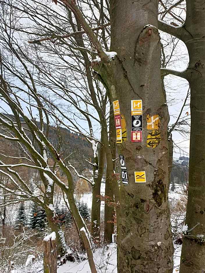 Waldhof Hochsauerland