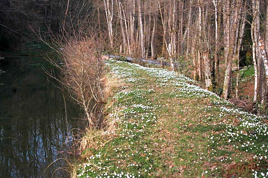 Chambres d'Hôtes "La Landre"