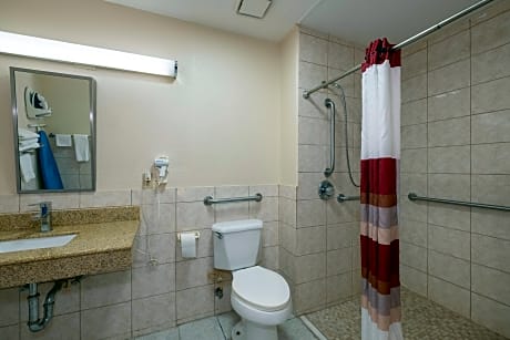 ADA Accessible Superior King with Roll-In Shower Smoking