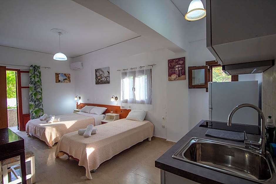 Harrys bar & apartments