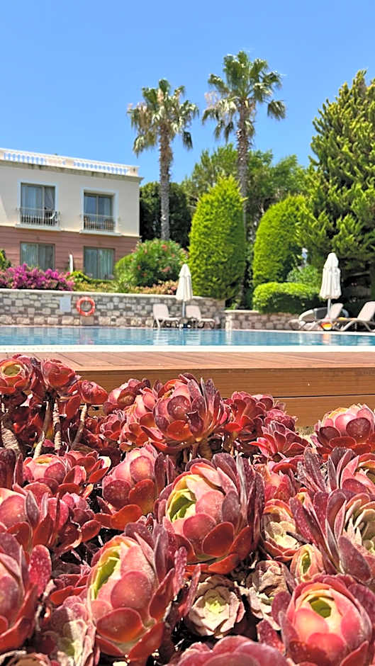 Antmare Hotel
