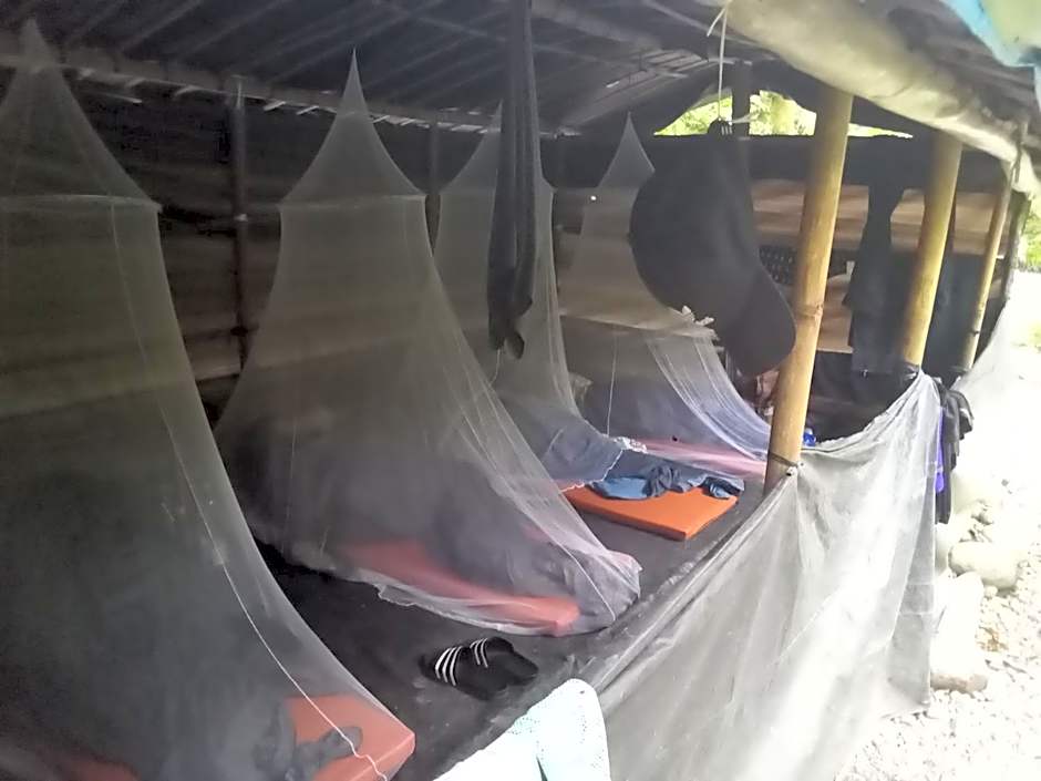 Jungle treking & Jungle Tour if you want to stay here,you must book treking only with us