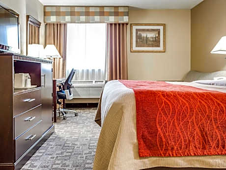 1 King Bed Nonsmoking