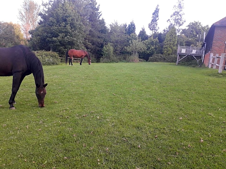 Moaps Farm B&B support small business, welcome, check in from 5 pm