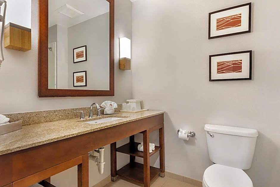 Comfort Inn & Suites Red Oak - Dallas Area