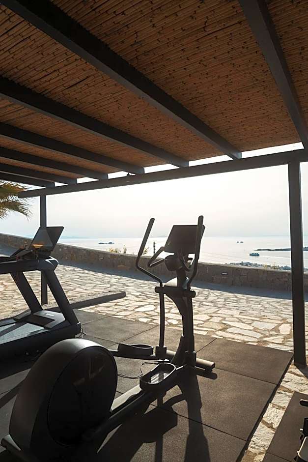 PAREA Blue Zone - Adults Only