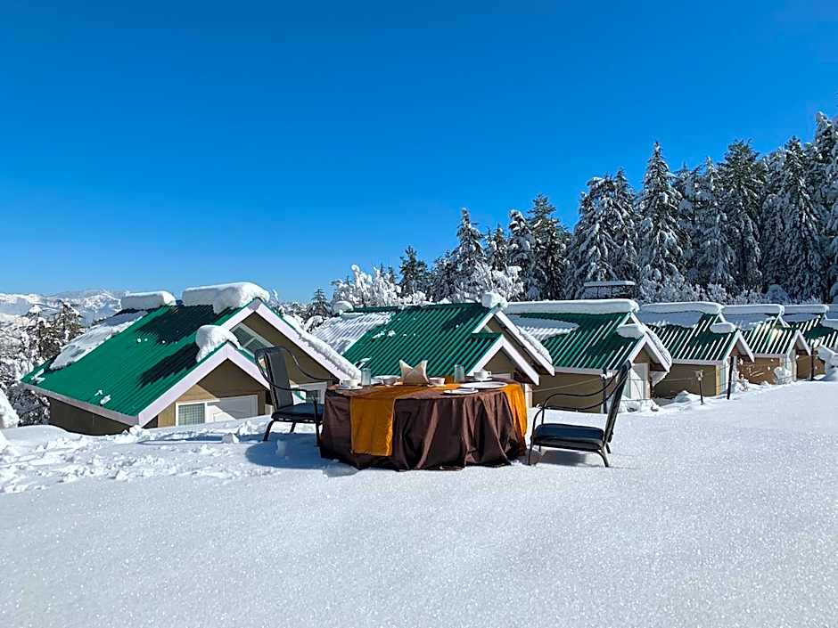 Mashobra Greens Shimla