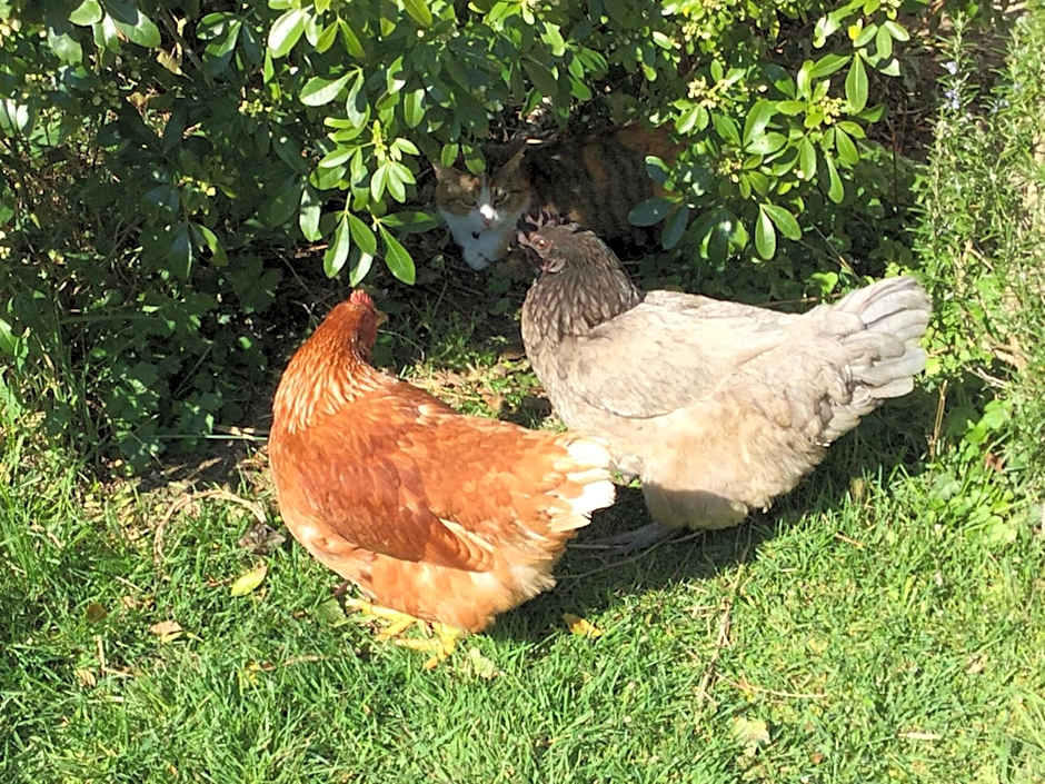 Chambres d'hôtes La Ferme du Grand Launay