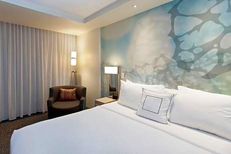 Large King Room with Sofa Bed