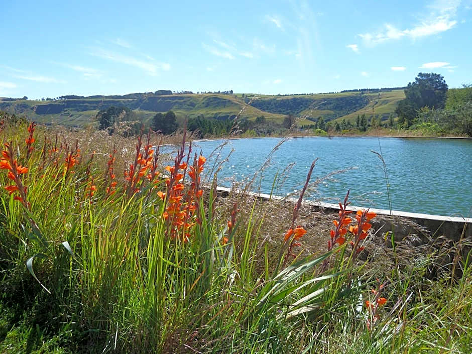 Drakensberg Inkosana Lodge