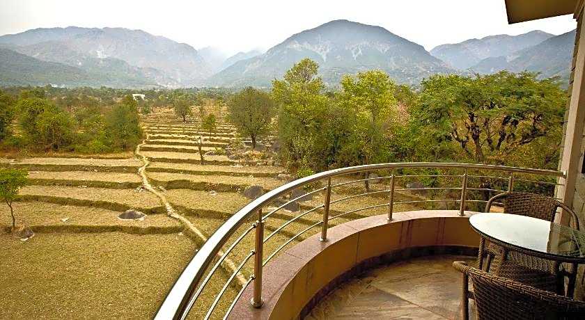 Quartz Himalayan Brothers