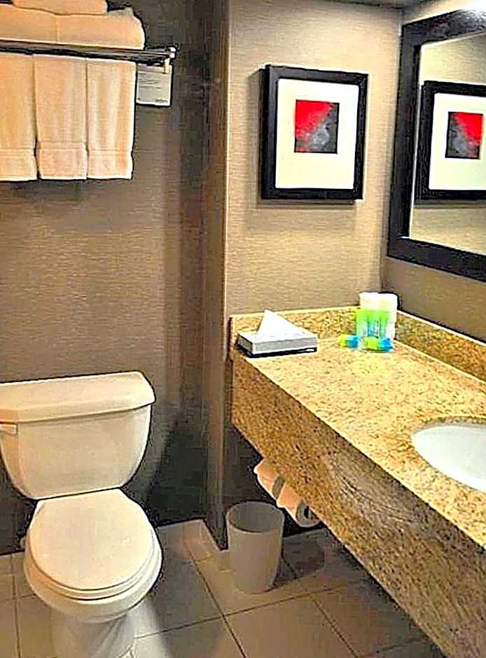 Radisson Hotel Vancouver Airport