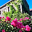 La magnanerie de camias