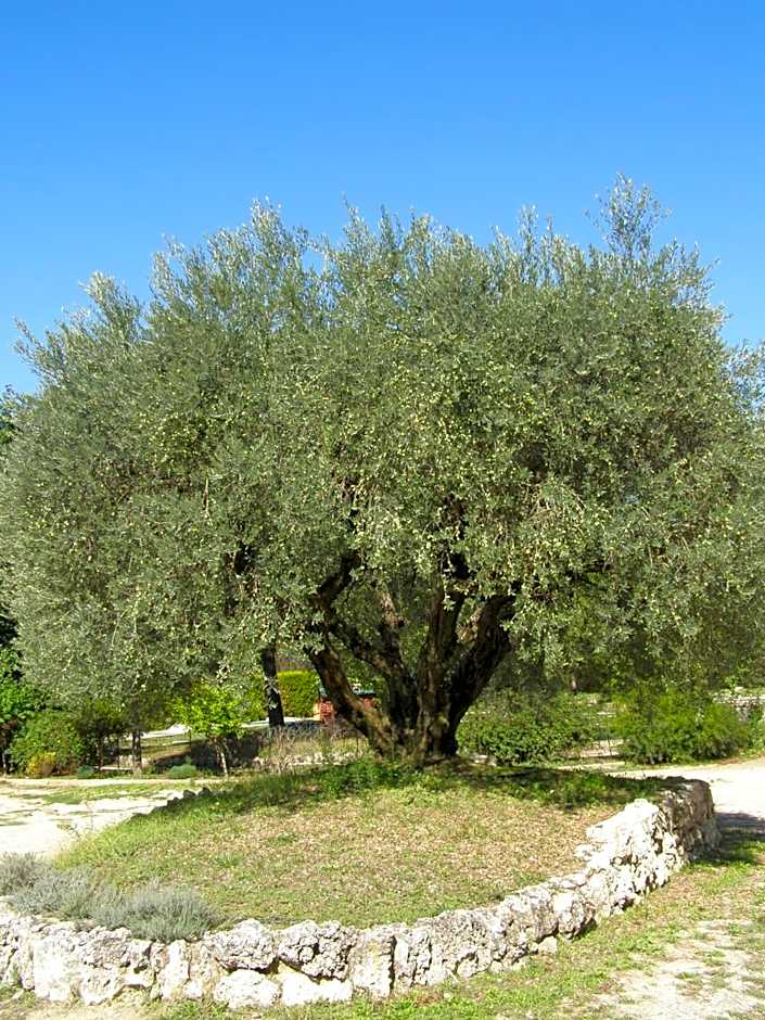 Best Western Sevan Parc Hotel