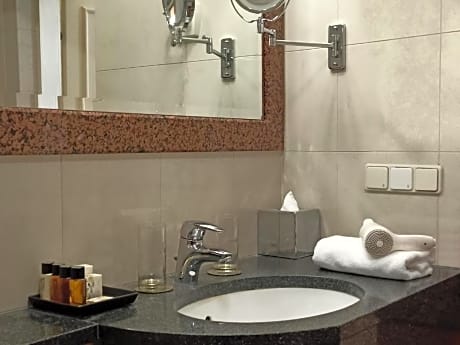 Standard Double Room with a view of the courtyard