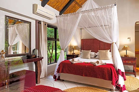 Secrets Of The Forest B