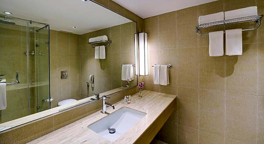 Svelte Delhi, a member of Radisson Individuals