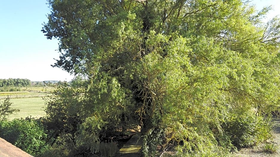 Les Bovrieres