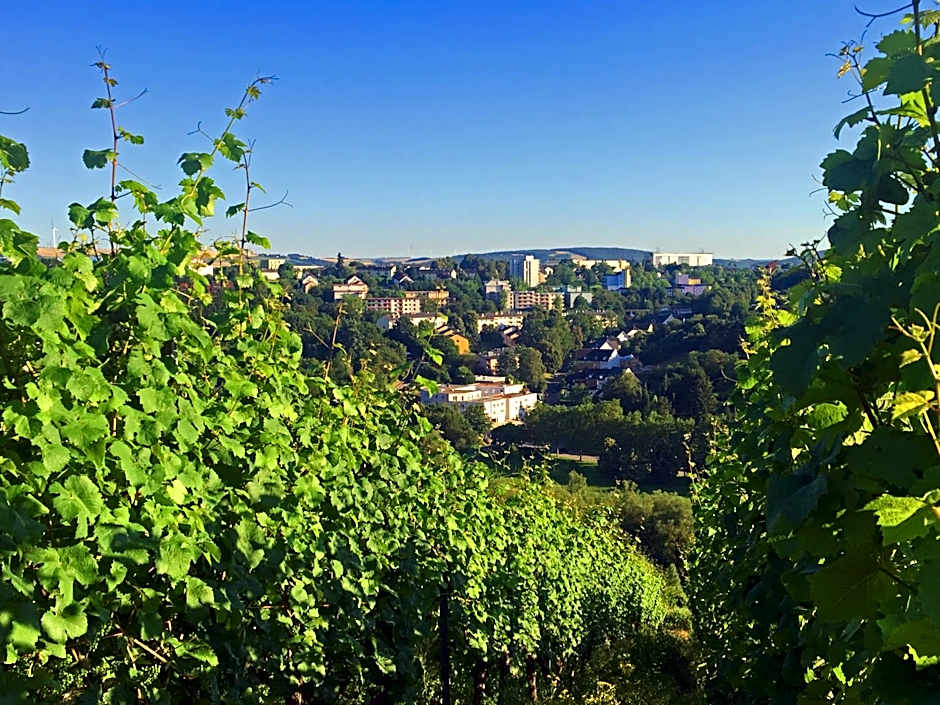 Alembra - Wein Style Hotel