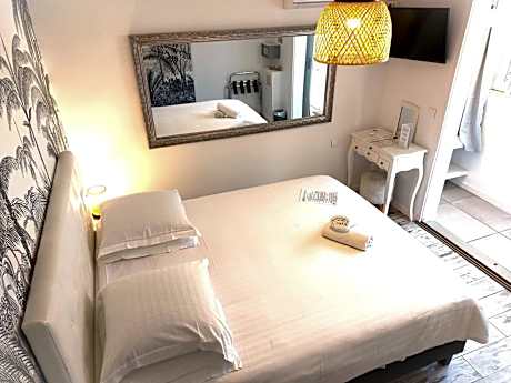 Double Room with Terrace