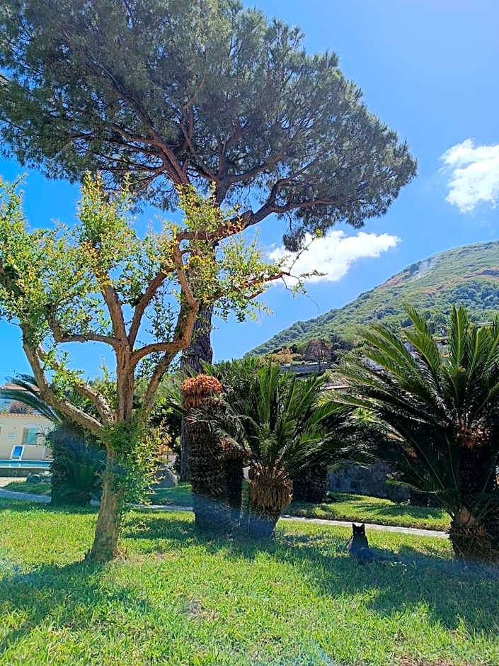 Villa Olivia Residence Ischia - nel Verde con Piscine e Vista Mare