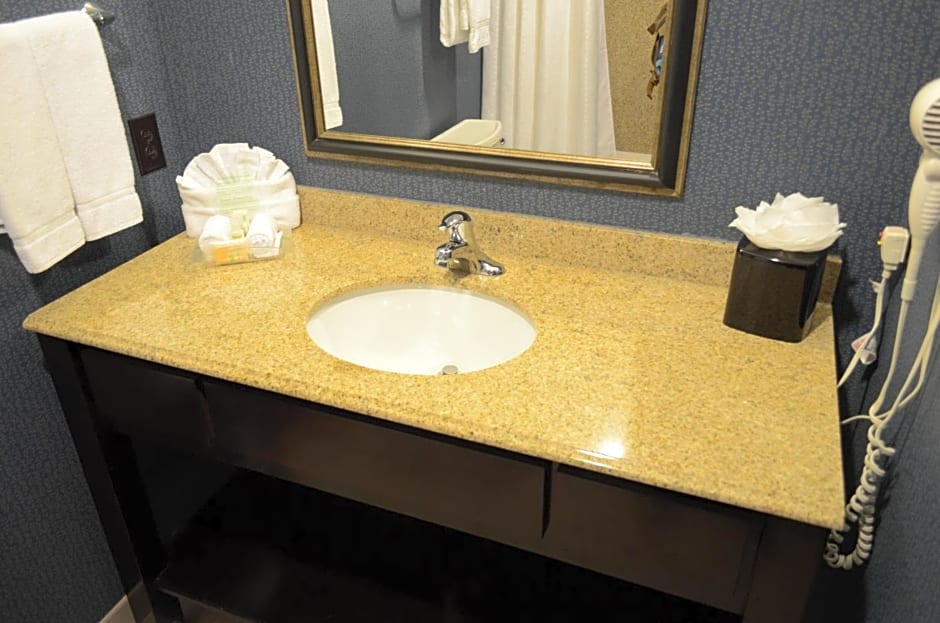 Holiday Inn Houston East-Channelview By IHG