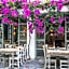 Flamingo Hotel and Spa