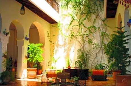 Ryad Bahia