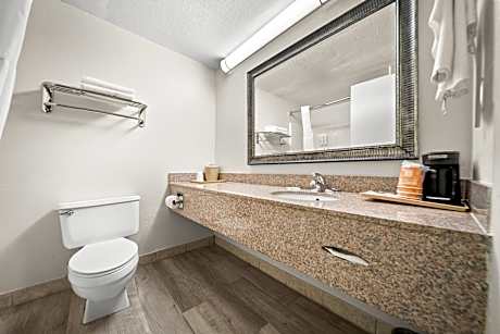 1 King Bed, Nonsmoking, Accessible