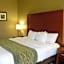 Comfort Inn & Suites Cave City