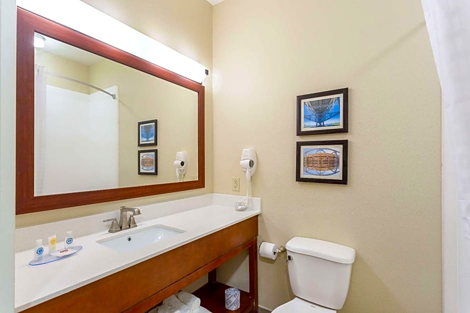 Comfort Inn & Suites Baton Rouge Airport