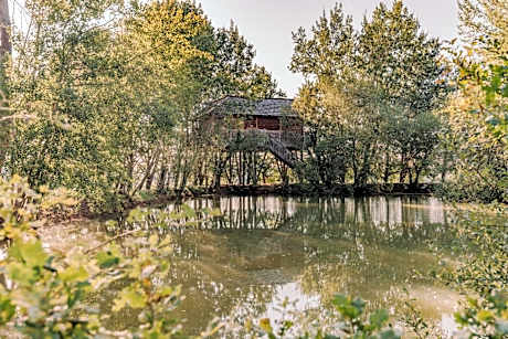 cabanes perchees dans les arbres