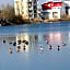 Seehotel Forst