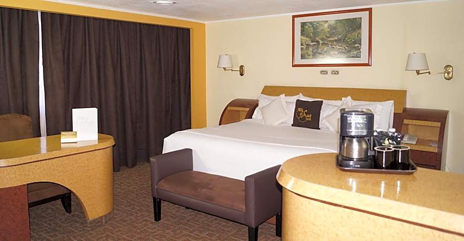 Hotel Real del Sur