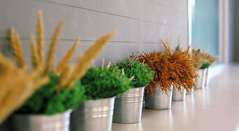 Sleeping Well Hostel Chiang Khong