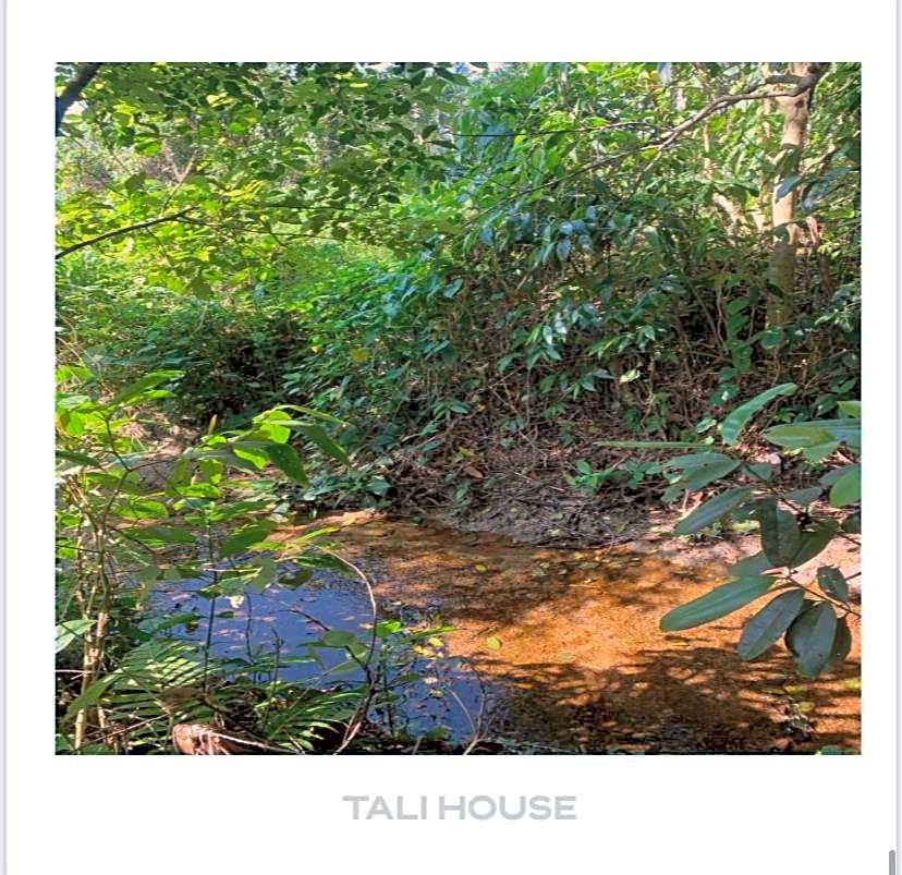 TALI HOUSE - Casa Hotel