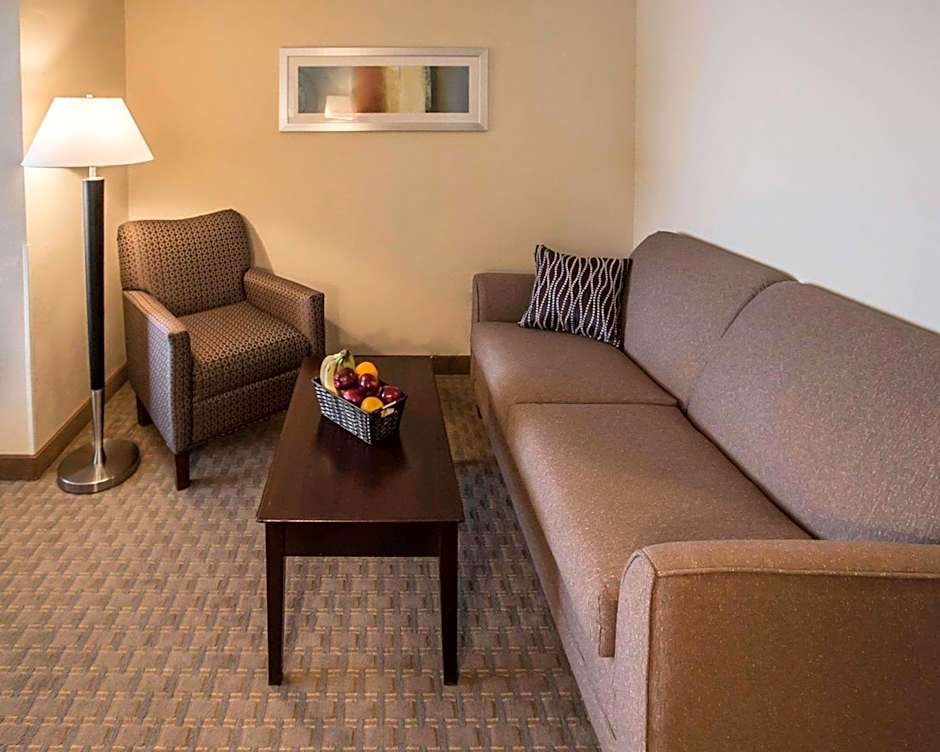 Comfort Suites University Area