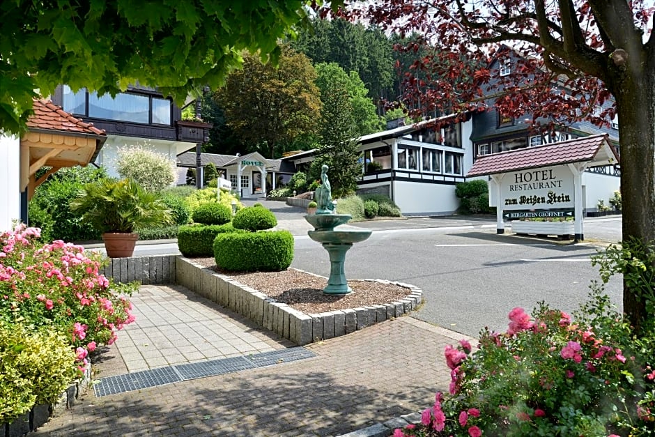 Hotel Zum weißen Stein