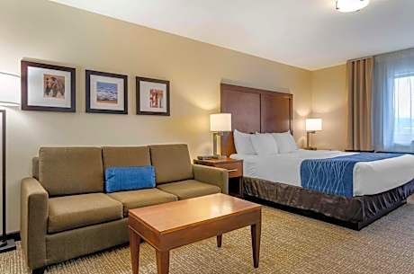 King Room with Sofa Bed - Non-Smoking